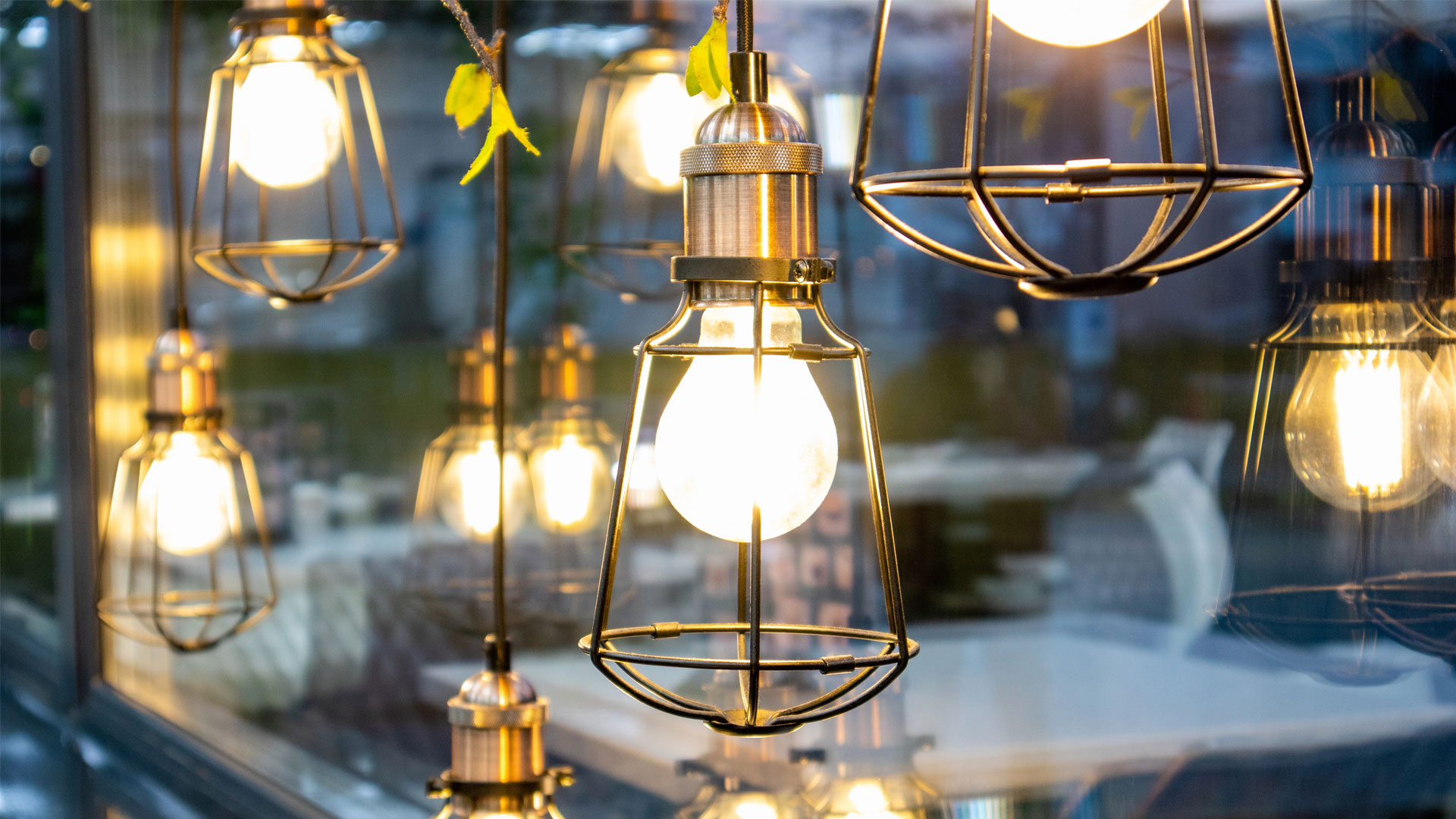 Ampoules Edison, style cage métallique, alignées en vitrine ou intérieur moderne.